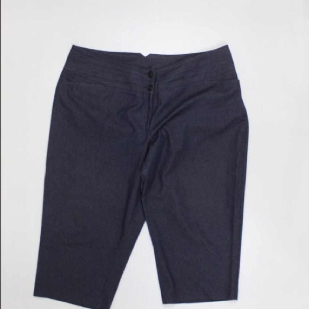 Lane Bryant Capri Pants Size 20